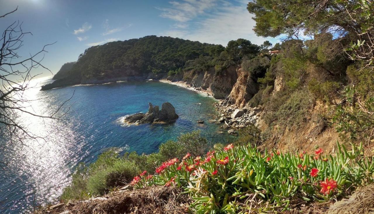 Studio Proche Port Et Plages, Piscine Hyères Zewnętrze zdjęcie